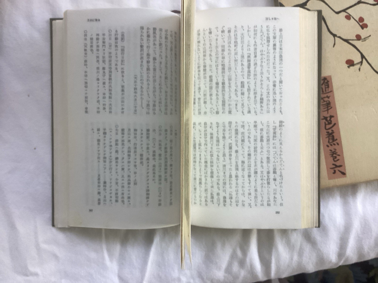 3 Japanese Books Relating To Basho’s Travels