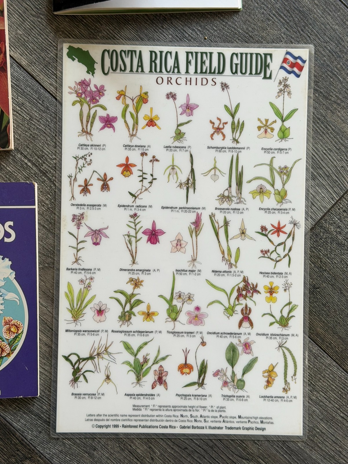 ORCHID Book 8pc Lot Field Guide Hardcover Softcover Gardening Flowers Floristry