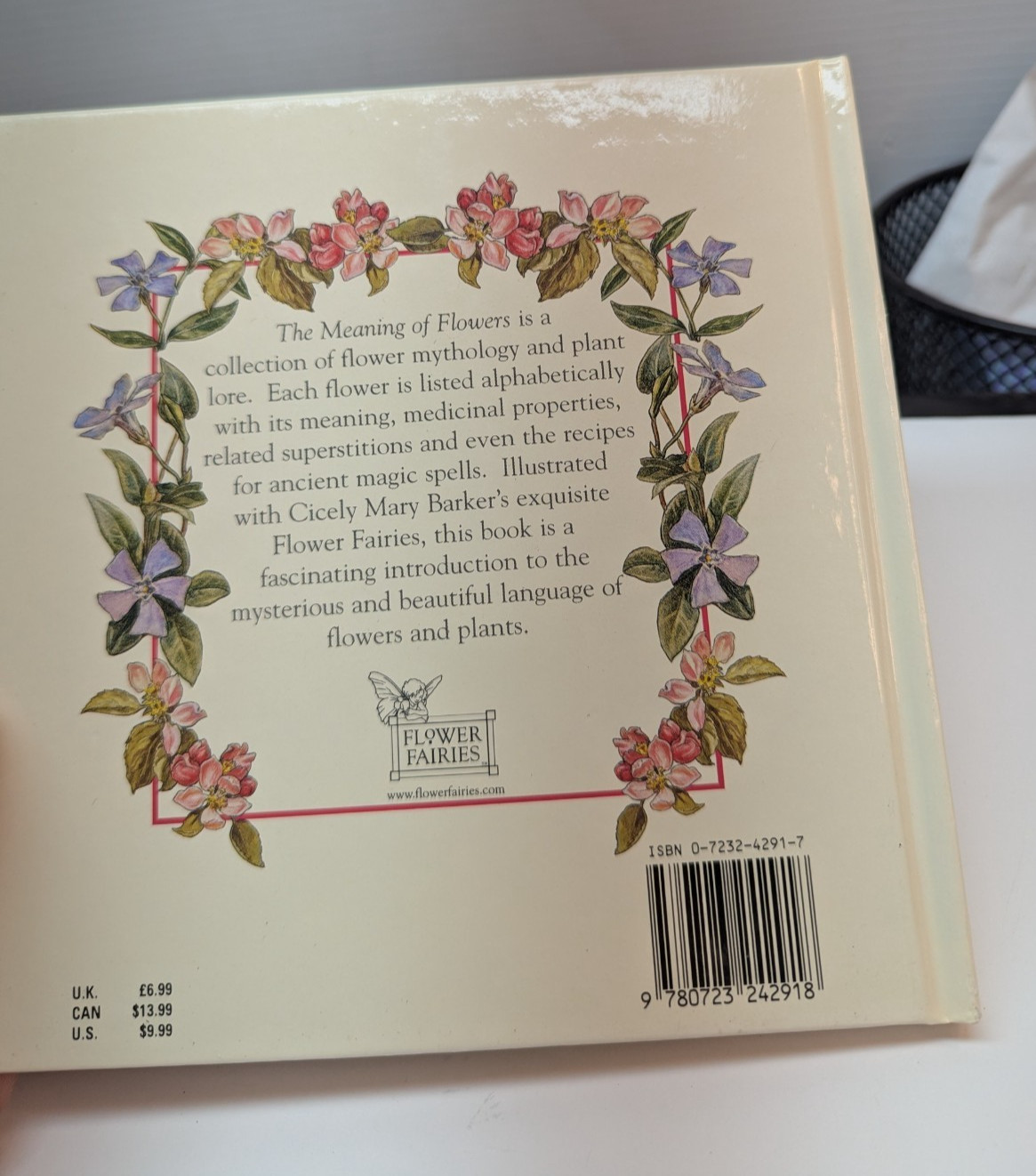 Flower Fairies: The Meaning of Flowers Frederick Warne 1996 Hardcover Vintage