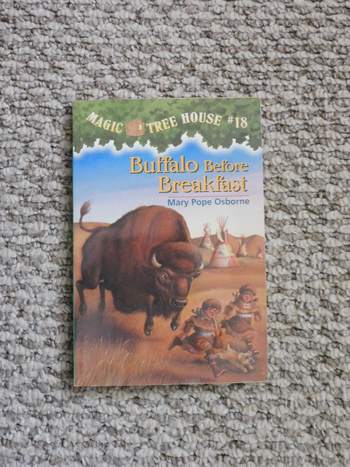 Lot of various Individual Magic Tree House Books: Mixed Publishers