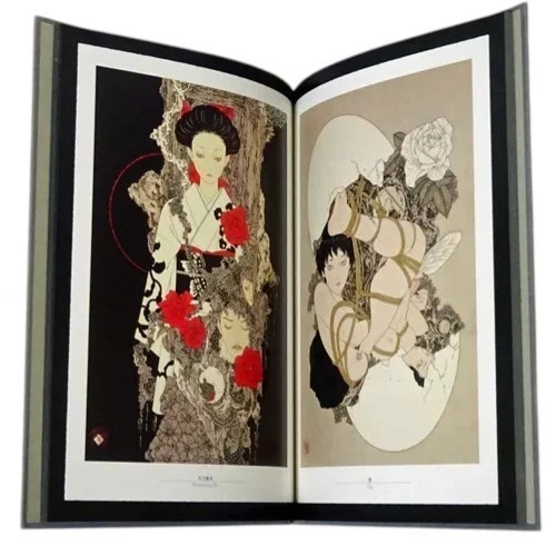 Takato Yamamoto Art Book 5 Set Pan Exotica Collection NEW Edition Japan