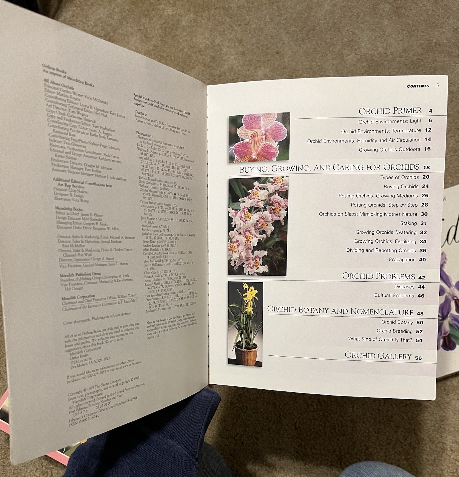 All About Growing ORCHID Flowers Garden Expert Guide Book Illustrated Lot x6 VG