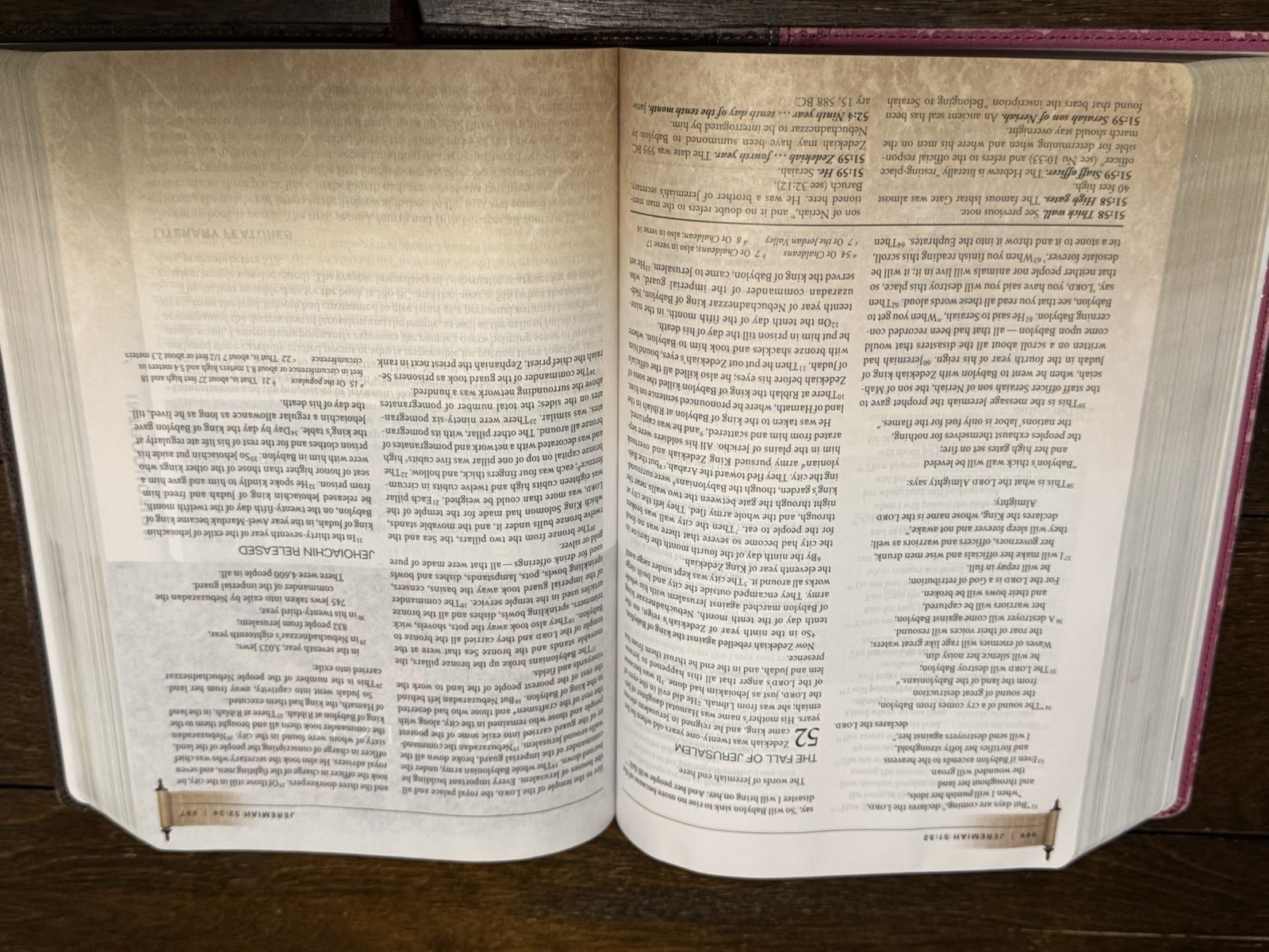 Zondervan NIV First Century Study Bible Dobson Italian Duo Tone Chocolate Orchid