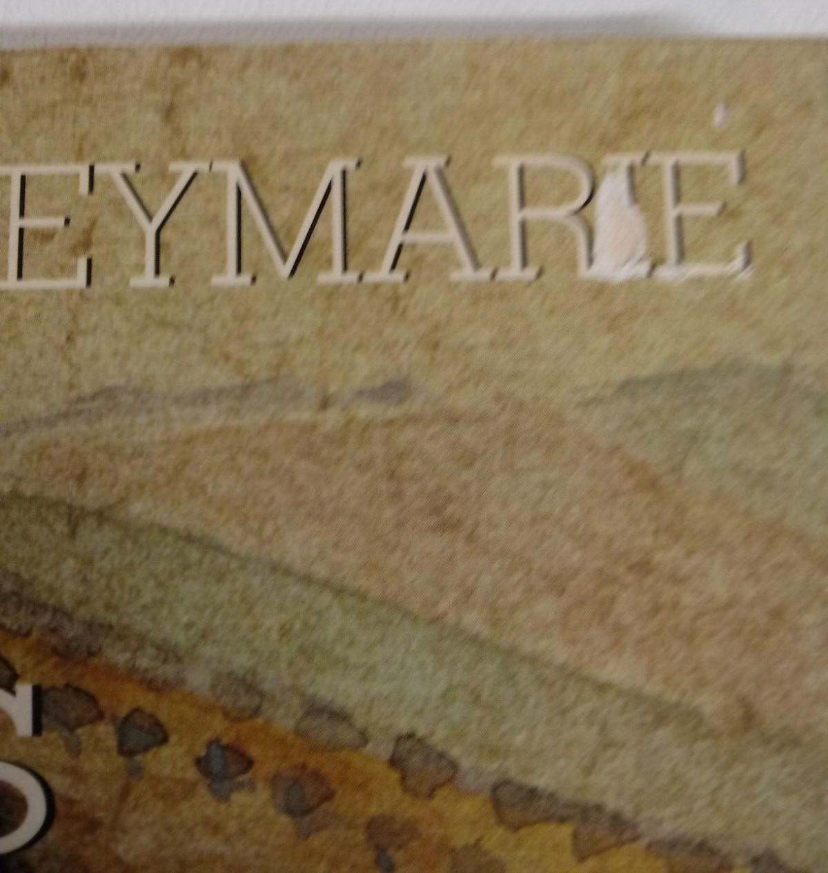 Watercolors From Durer To Balthus PB Jean Leymarie Painting Artistry