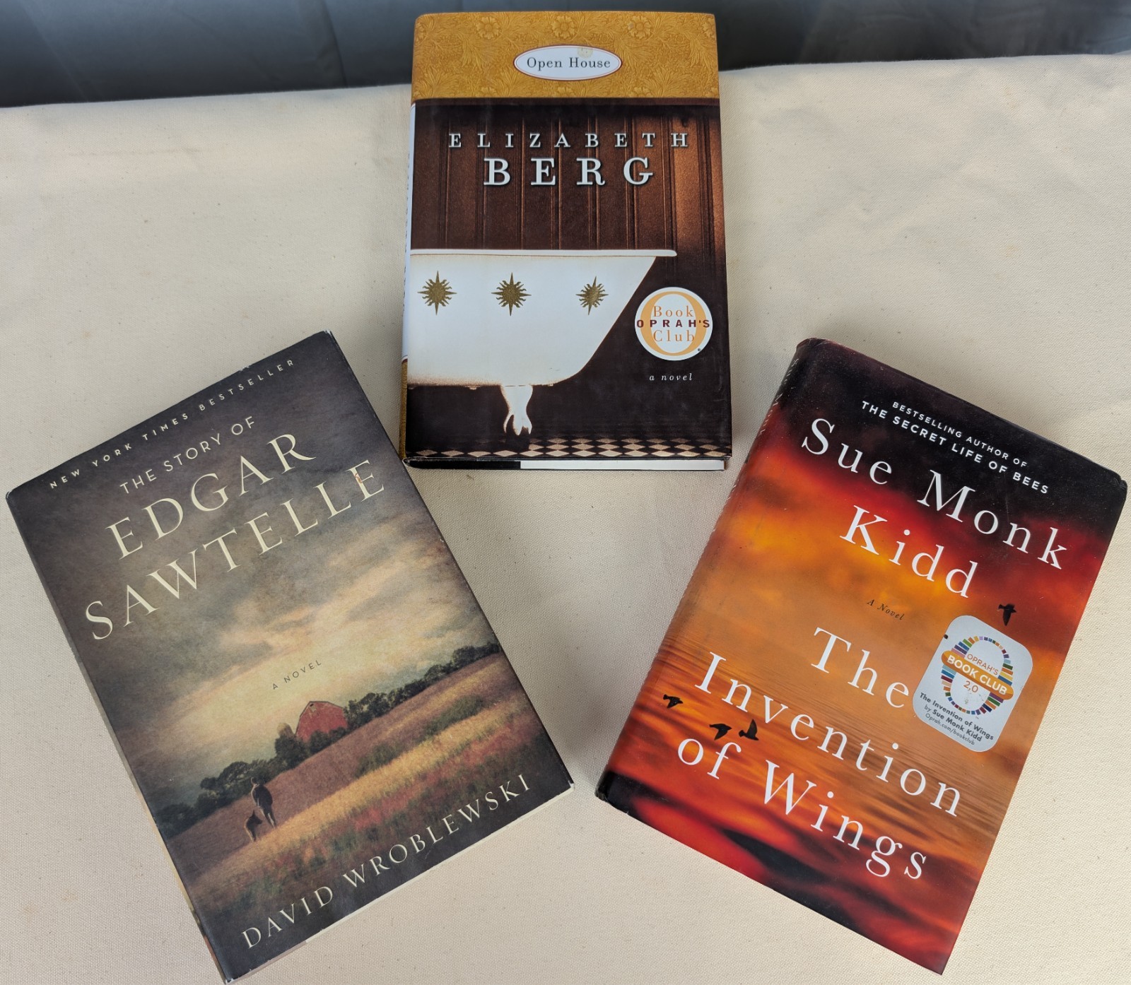 Lot of 11 Book Club Novels – Ann Patchett, Sue Monk Kidd, Elizabeth Berg, Wonder