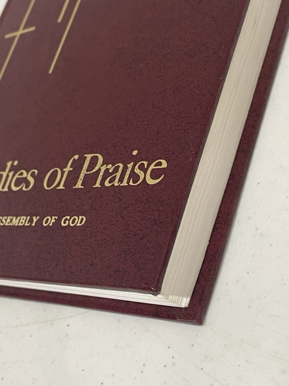 Lot of 15 Melodies of Praise Hymnals 1985 Gospel Publishing House Maroon Church