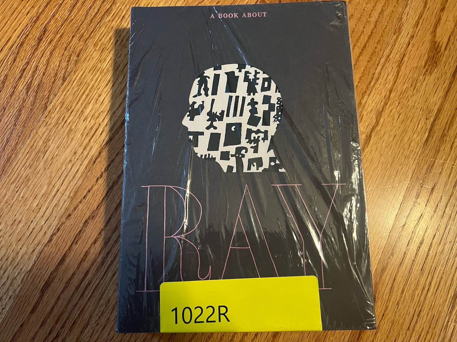 Book About Ray Hardcover by Ellen Levy New
