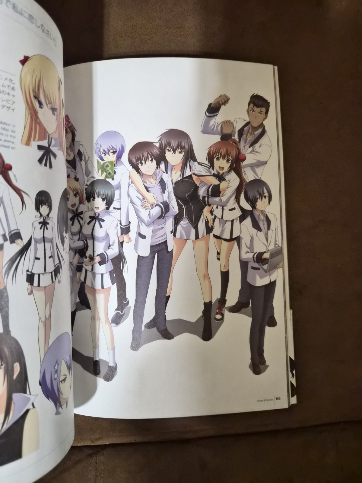 Heroes and Heroines: Japanese Video Game + Animation Illustration Art Book Anime