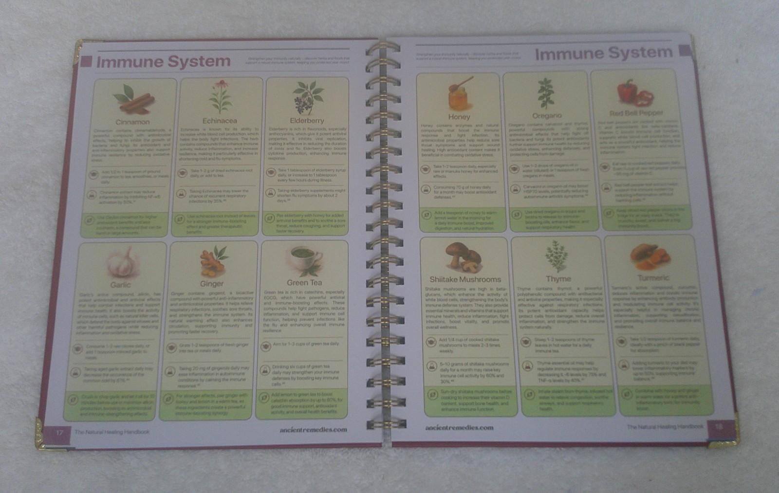 The Natural Healing Handbook by Ancient Remedies Press, Revised Edition