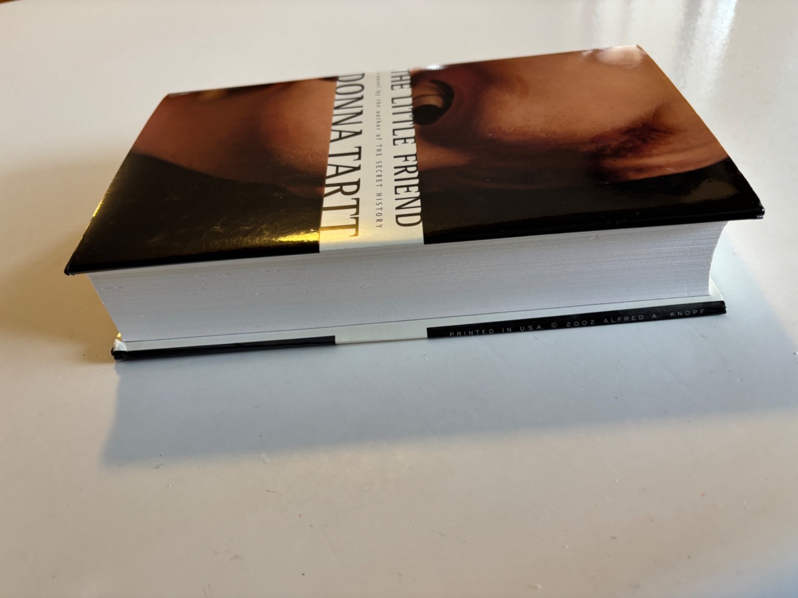 The Little Friend by DONNA TARTT 2002 1st Ed Hardcover DUST-JACKET BeautifulBook