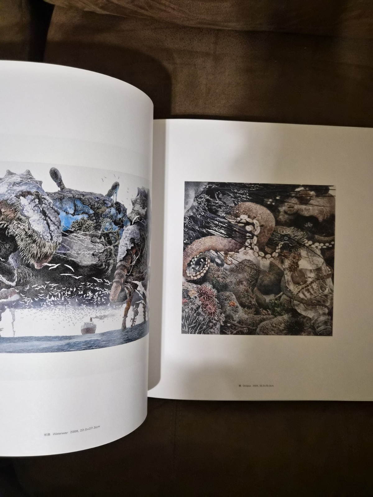 The Pen Manabu Ikeda Japanese Art Book 2017 Technical Pen Painting Japan