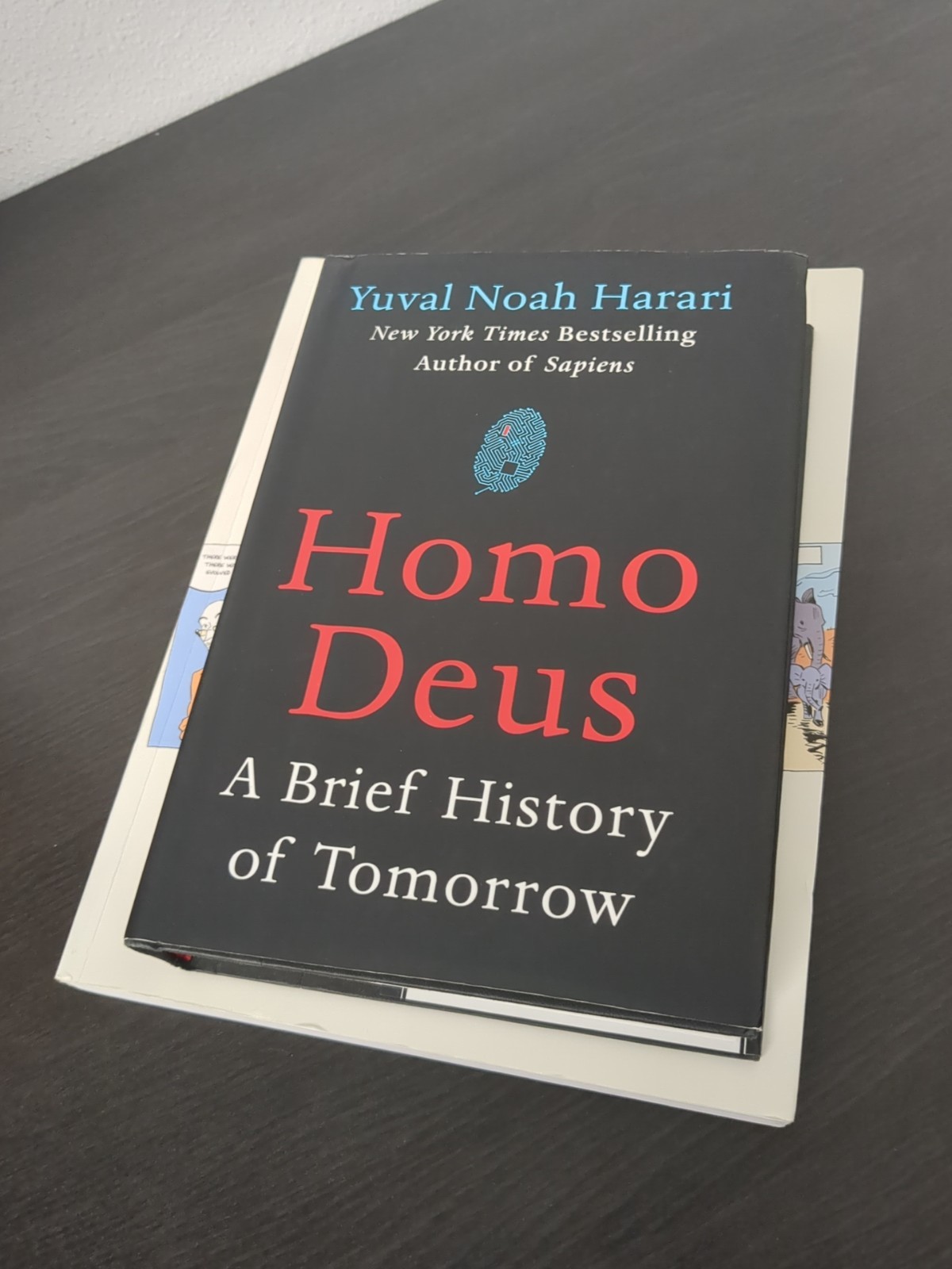 Yuval Noah Harari Lot – Sapiens Homo Deus Graphic Novel Jared Diamond Guns Germs