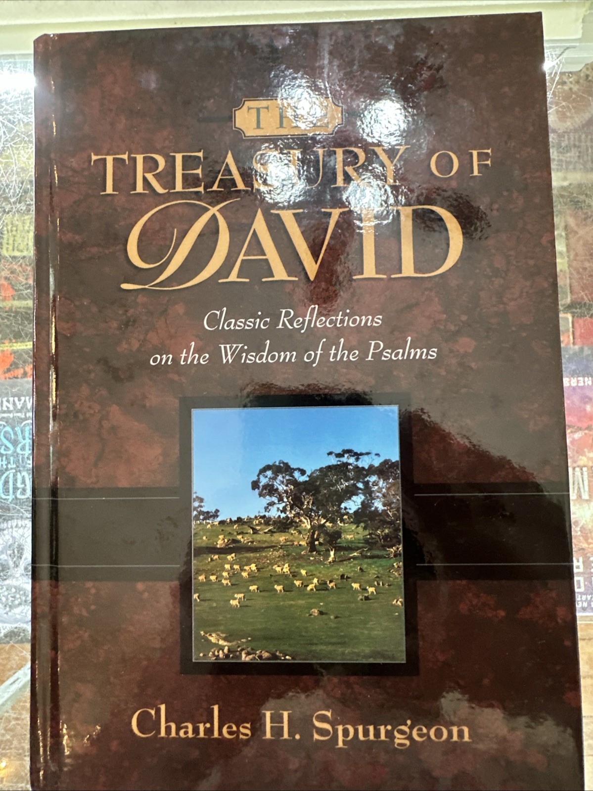The Treasury Of David 3 Volume Set Hardcover By Charles H. Spurgeon Psalms 1-150