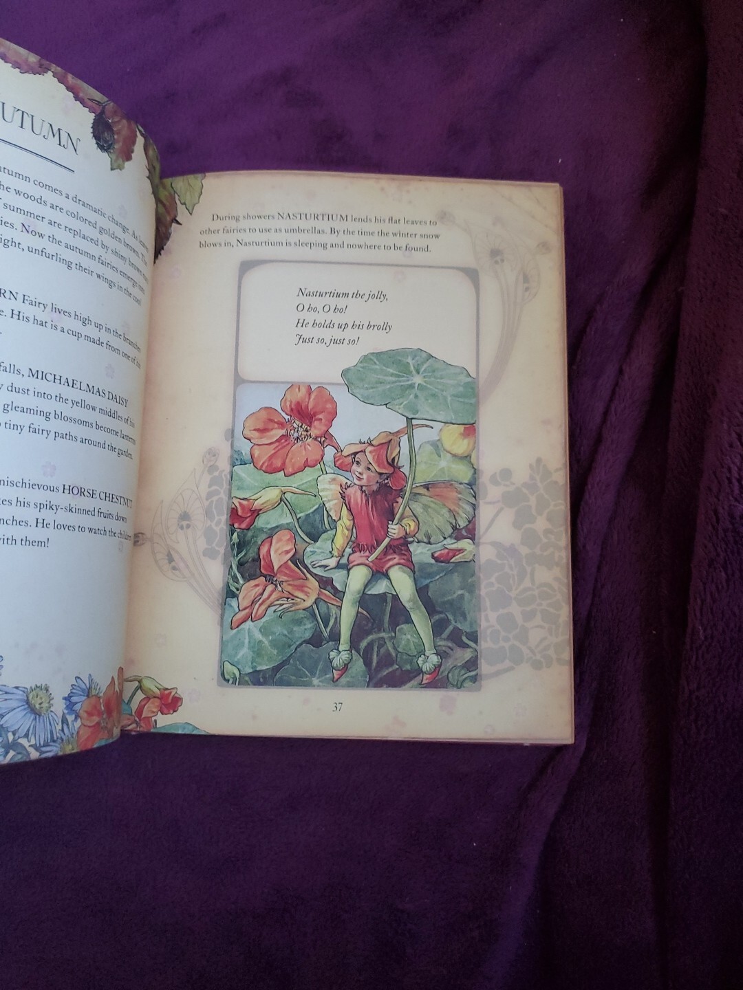 The Girls‘ Book of Flower Fairies (HC, 2008) Frederick Warne (Crafts & Stories)