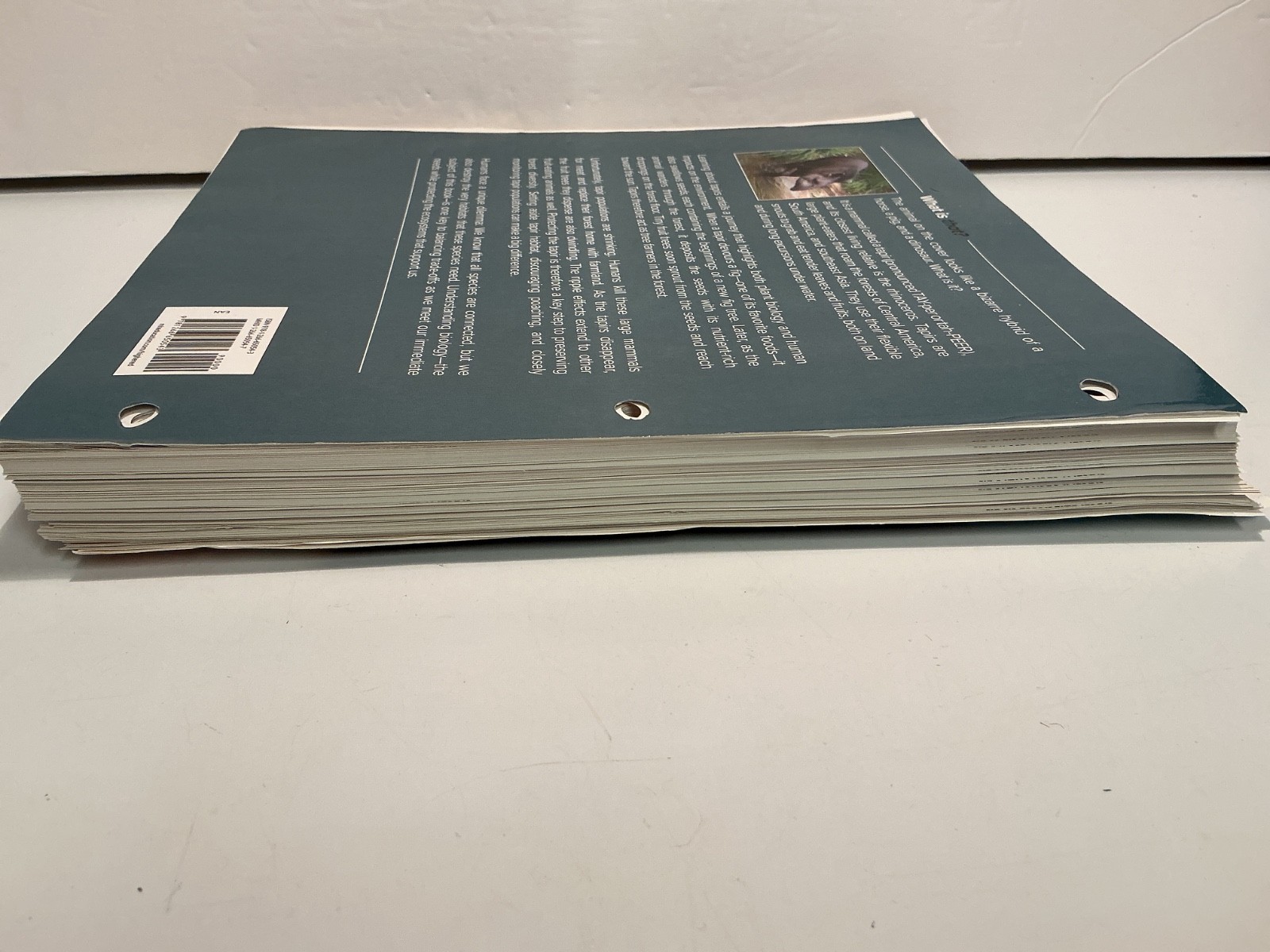 Biology: The Essentials 2025 Release by Marielle Hoefnagels (LOOSE-LEAF)