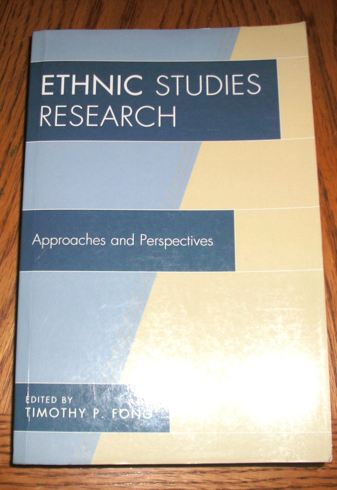 Ethnic Studies Research : Approaches and Perspectives, Paperback by Tim Fong