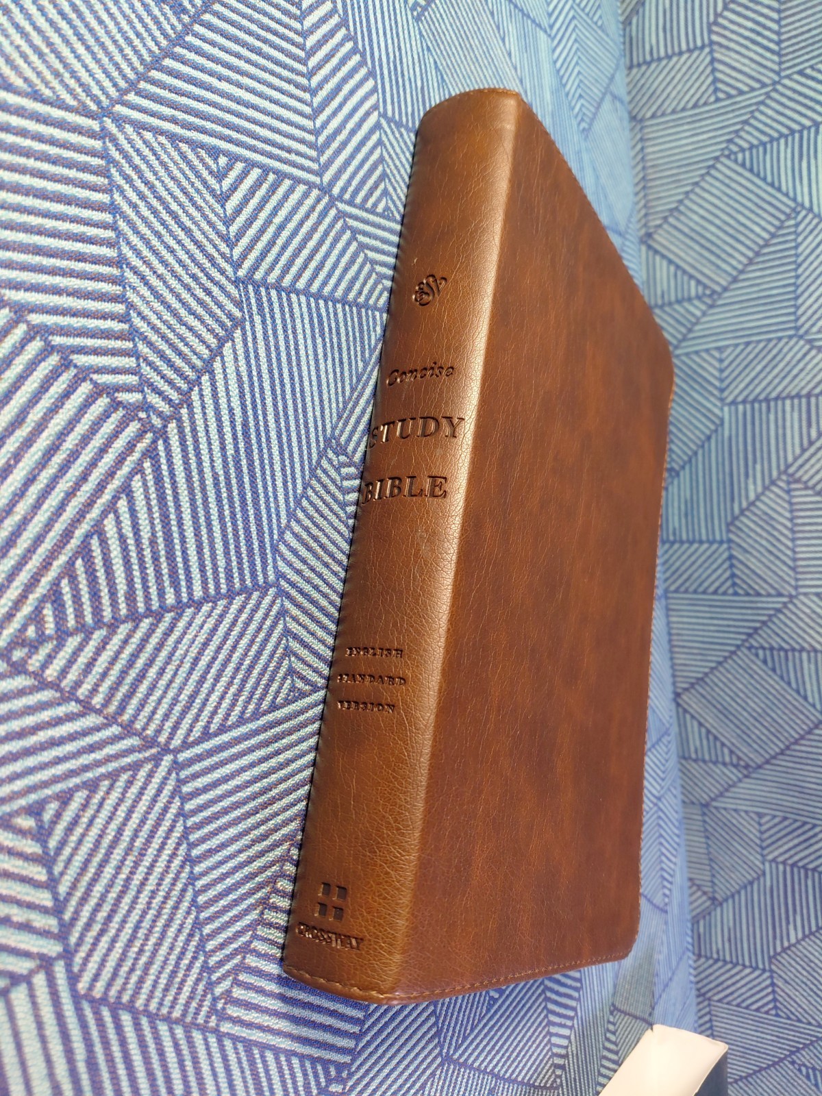 ESV Concise Study Bible (TruTone, Brown): Holy Bible, English Standard Versi…