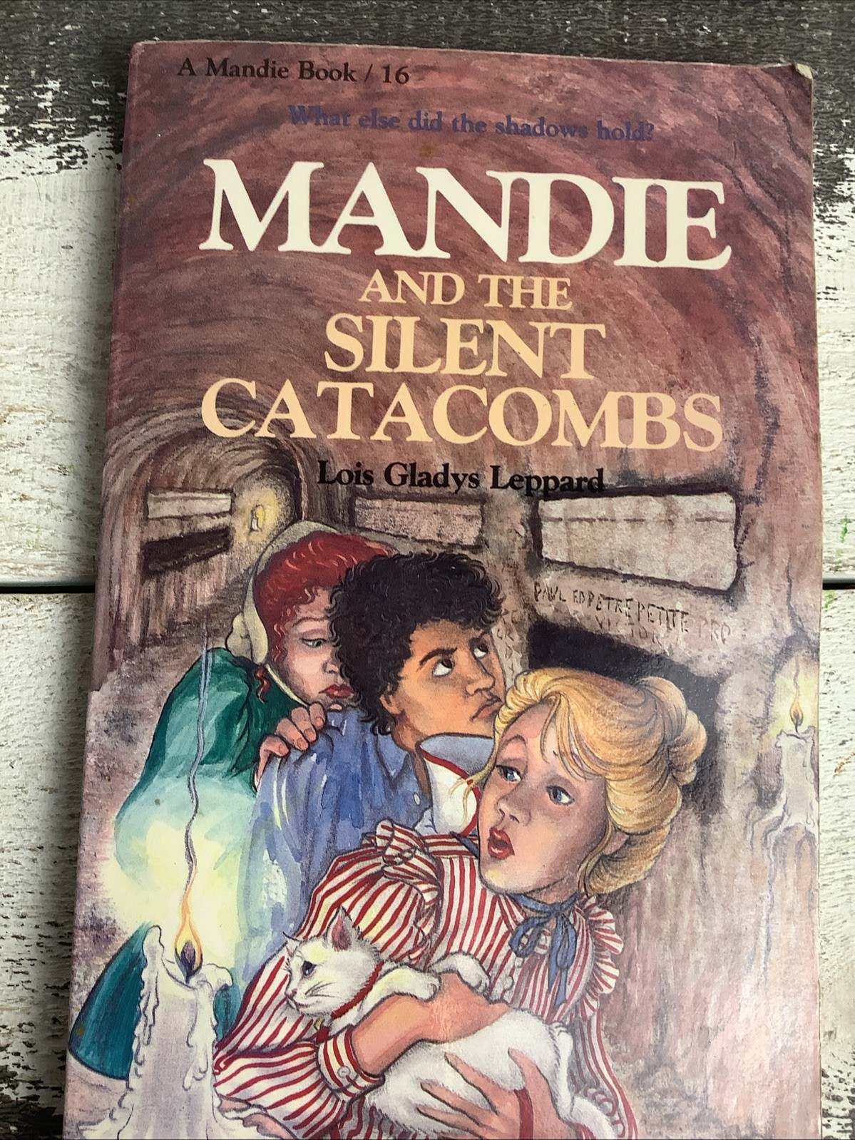 A Mandie Book 7 In Total, Books 1,2,3,5,6,9.16