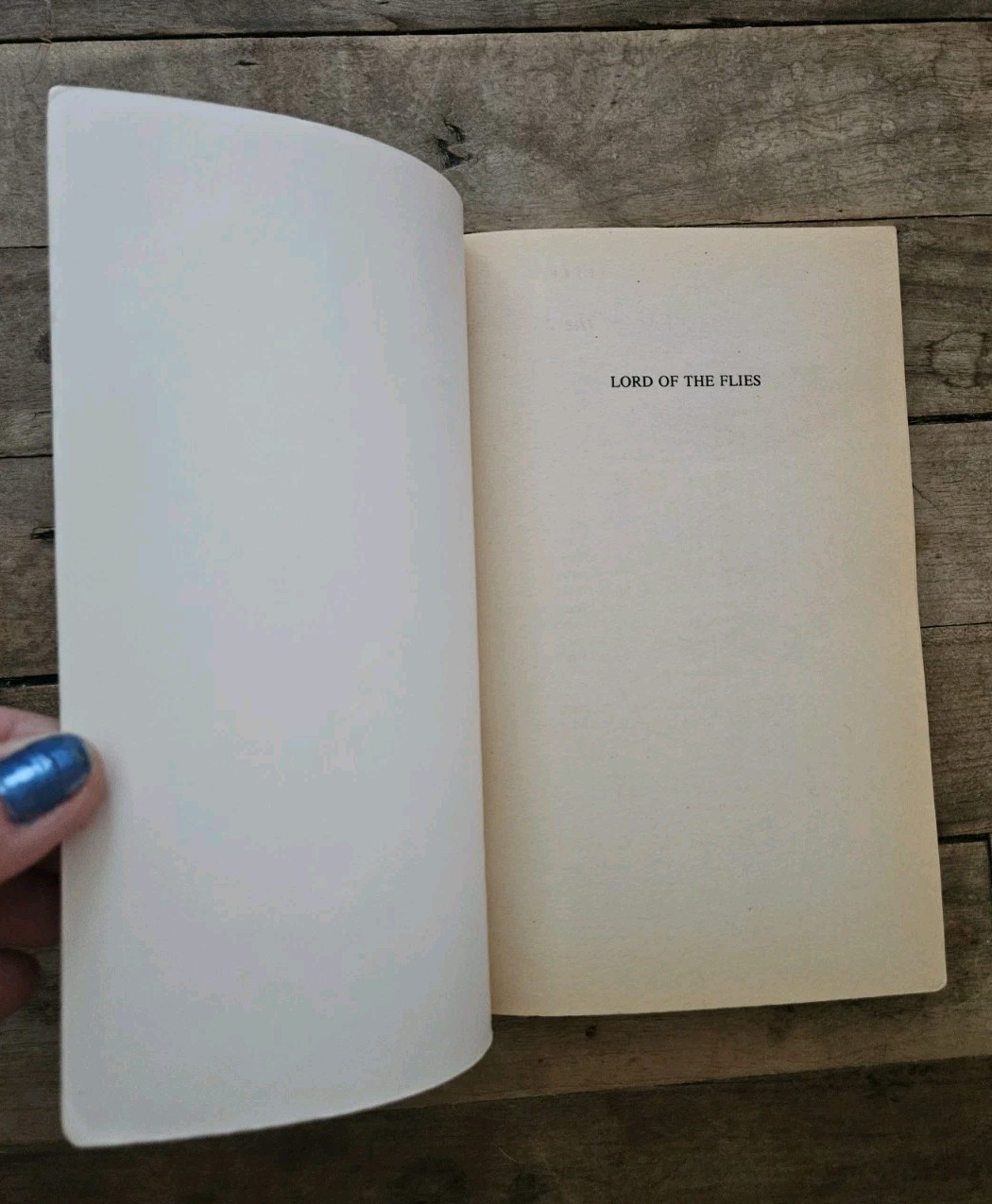 Vintage Lord Of The Flies By William Golding Paperback Classic