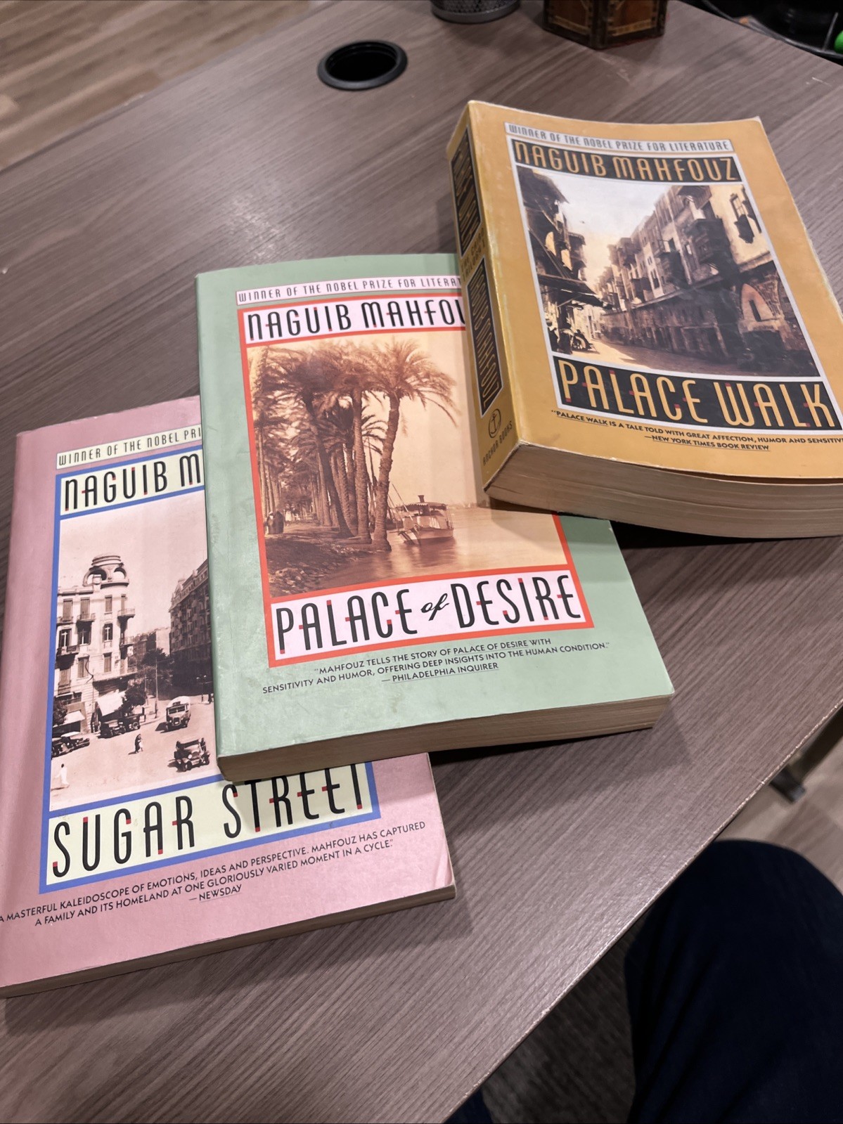 Cairo Trilogy: Palace Walk, Palace of Desire, Sugar Street; Introduction