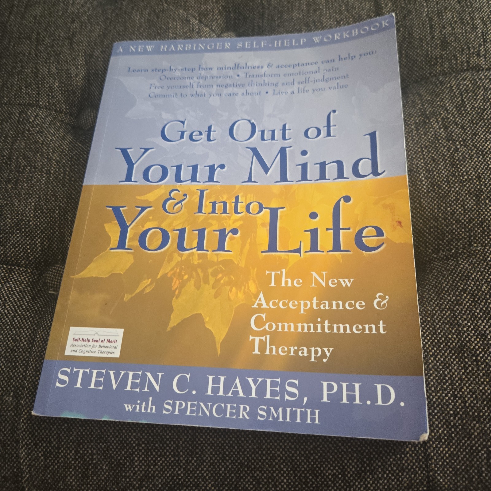 Get Out of Your Mind and Into Your Life: The New Acceptance and Commitment T…