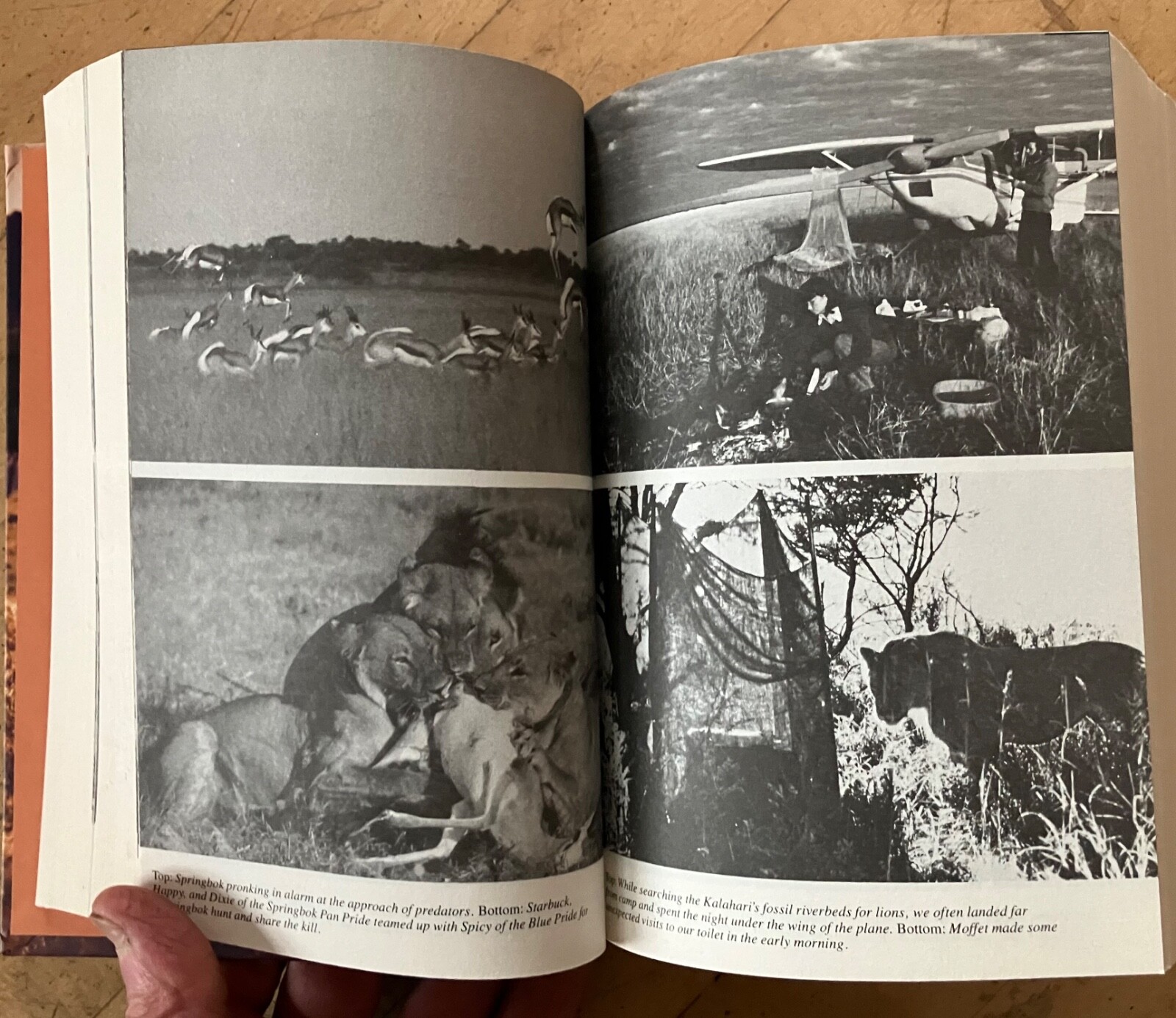 Delia Owens In Africa A Life In The Wild: By Mark Owens & Delia Owens 2019 B&N