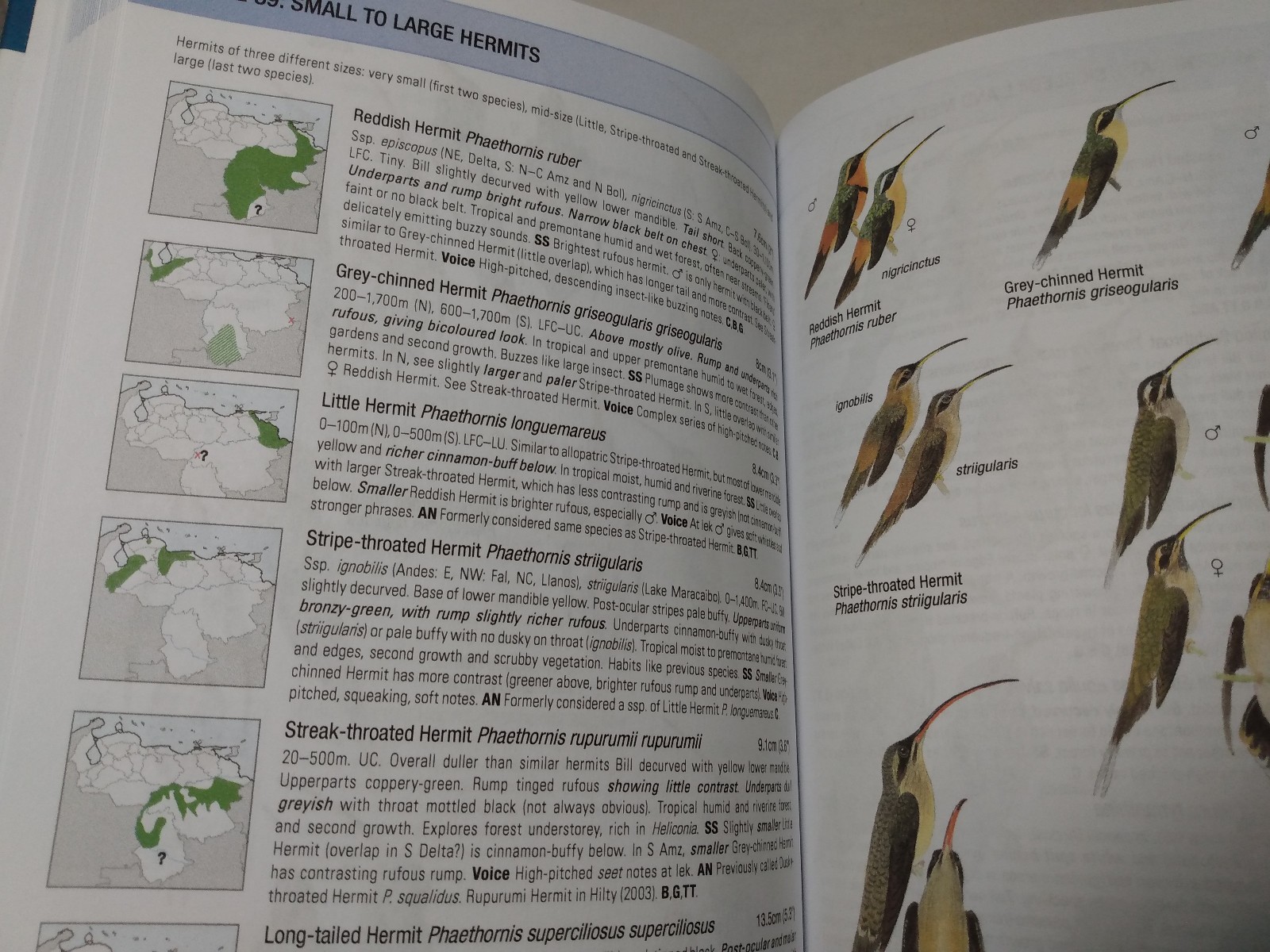 Birds of Venezuela Field Guide Ornithology Reference Regions Species Calls 2017