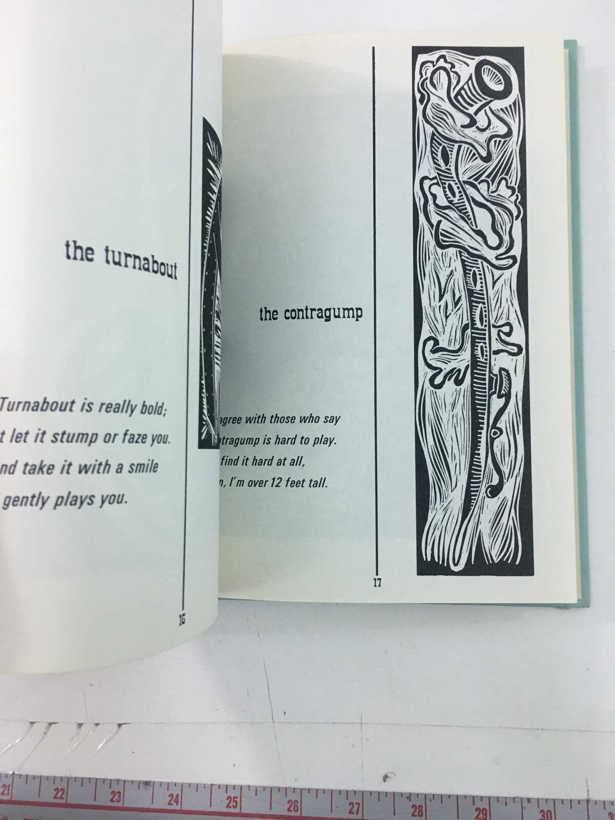 Practically Complete Guide To Almost Real Musical Instruments – Rudoff (1968, HC