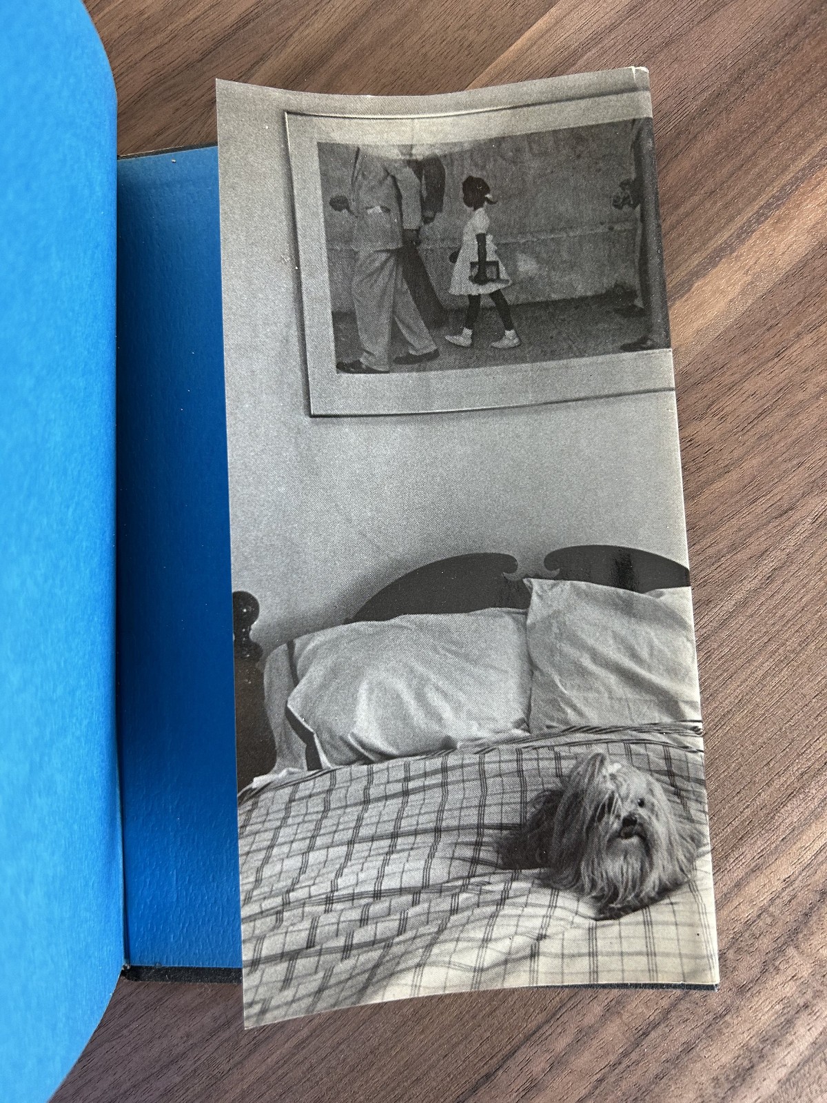 Jailbird – Kurt Vonnegut – 1979 Hardcover 1st Edition 2nd Delacorte Printing