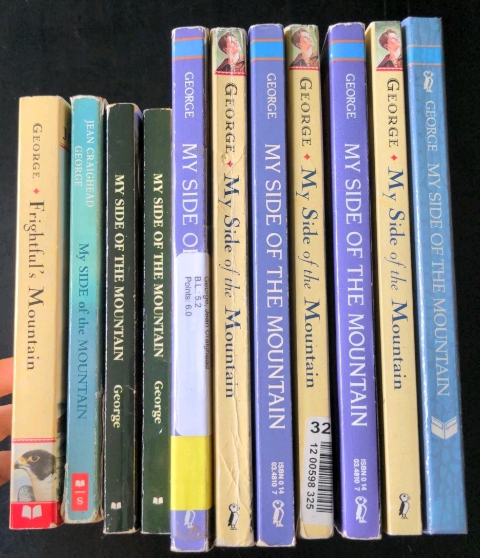 Lot of 10 My Side of the Mountain +1 by J C George Guided Reading Class Set Lot
