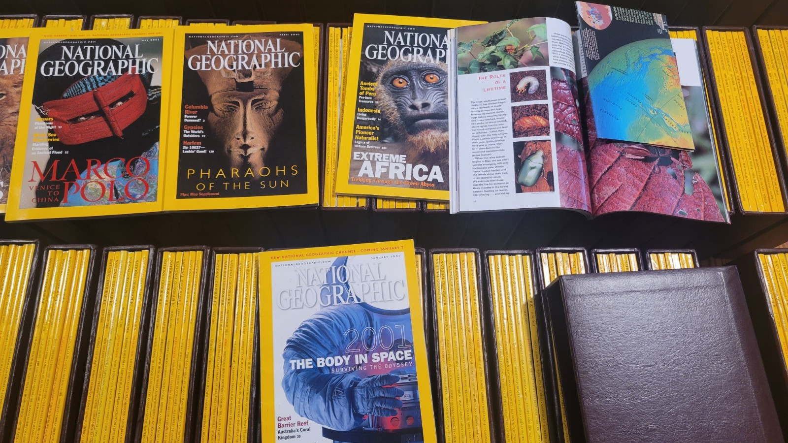 Complete 31-Yr National Geographic Collection 1978-2008 – 373 Issues – Sleeved