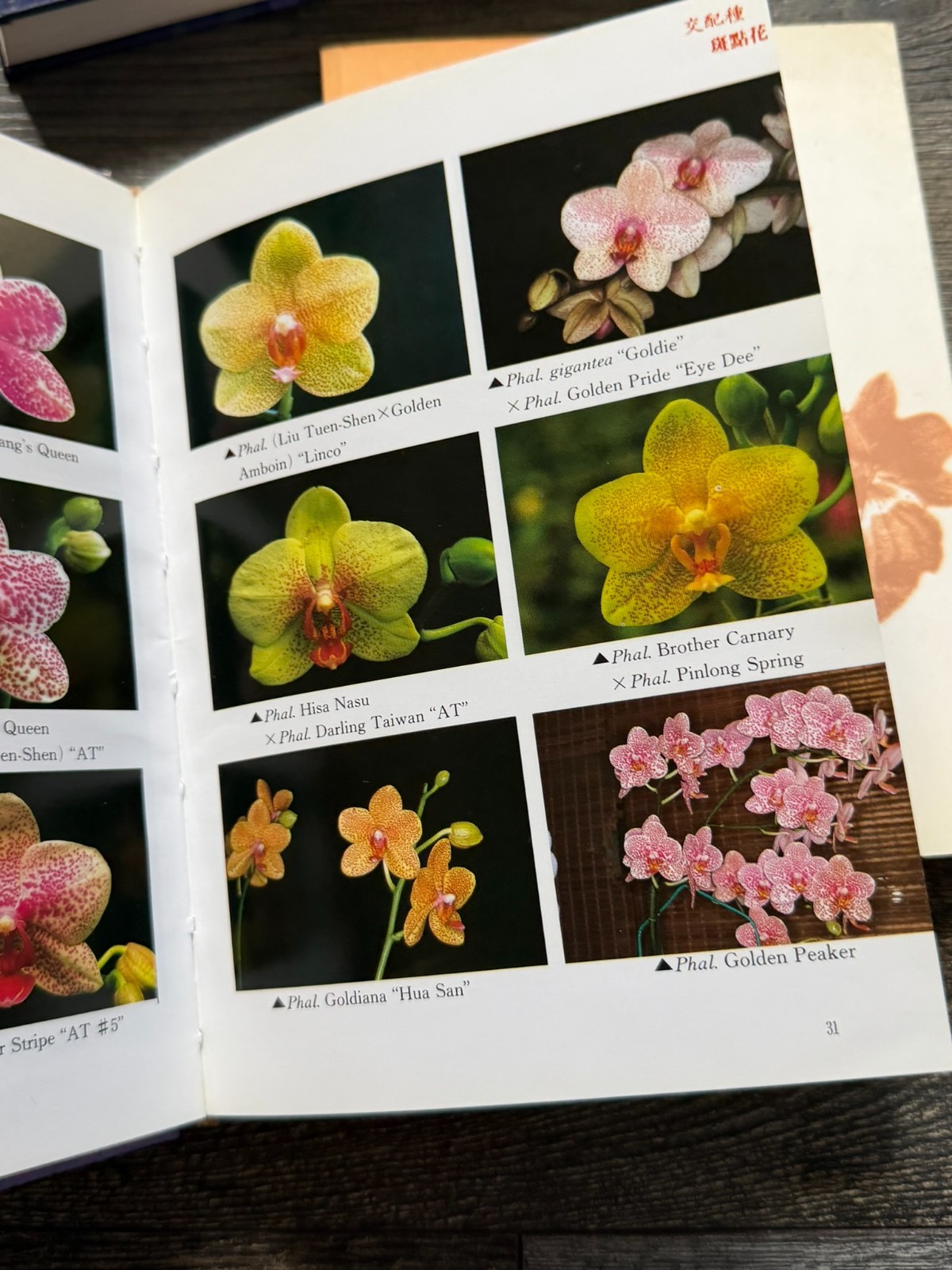 ORCHID Book 6pc Lot Chinese Language Hardcover Softcover Flowers Floristry