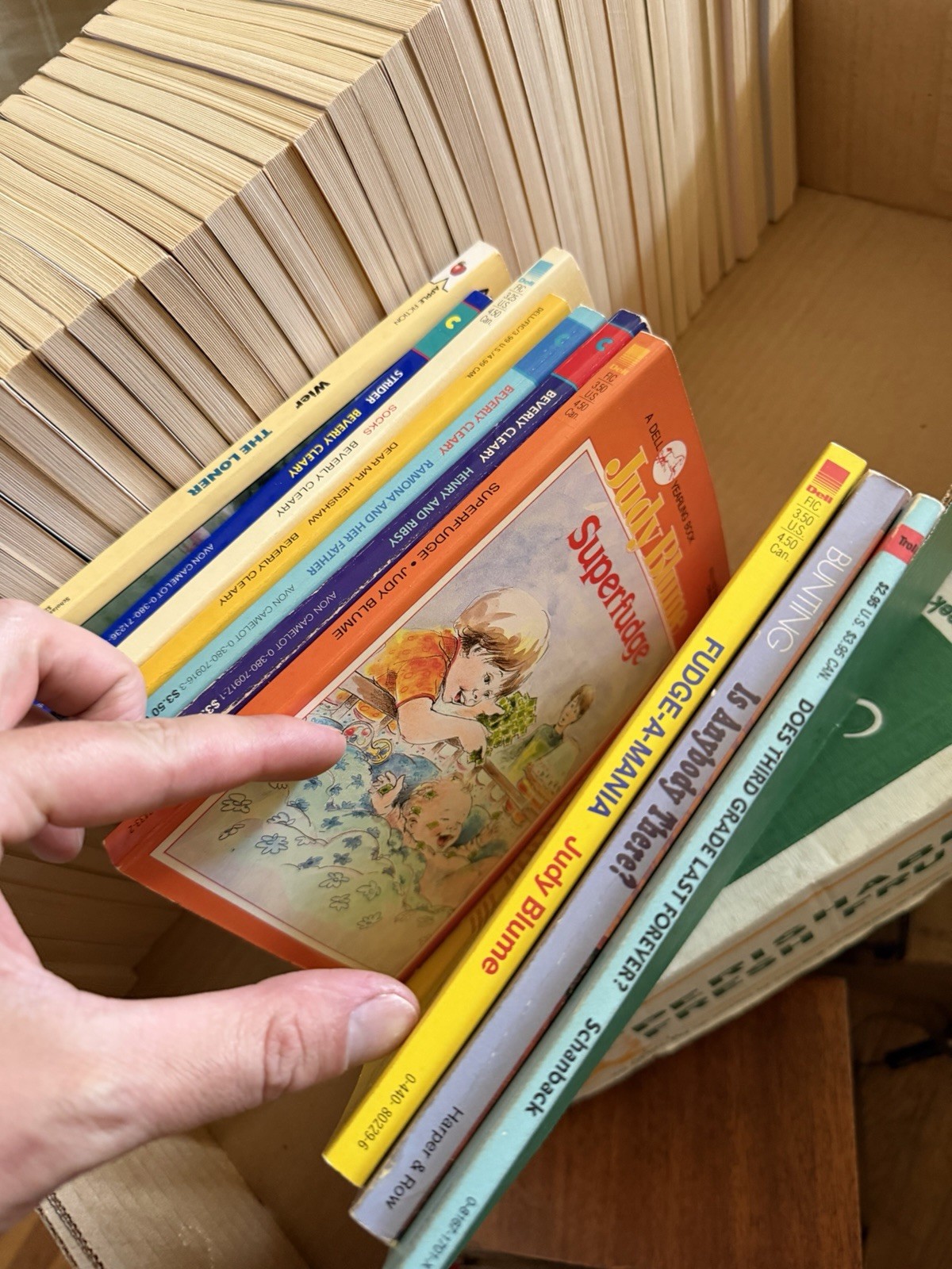Boxcar Children Gertrude Chandler Warner 1-45 – No Duplicates Paperback