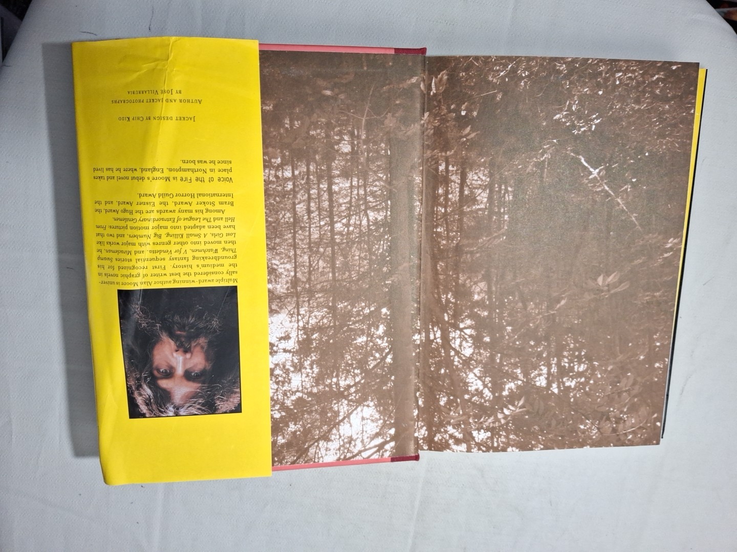Voice of the Fire by Alan Moore (2004, Hardcover)