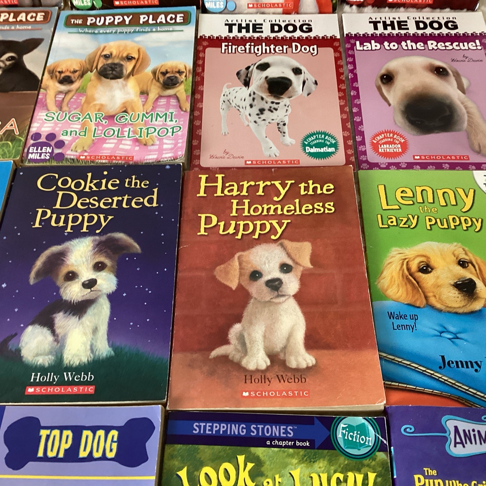 Dog Books Easy Kids Chapter Stories Puppy Place & More Ages 6-9 Lot of 16 + Draw