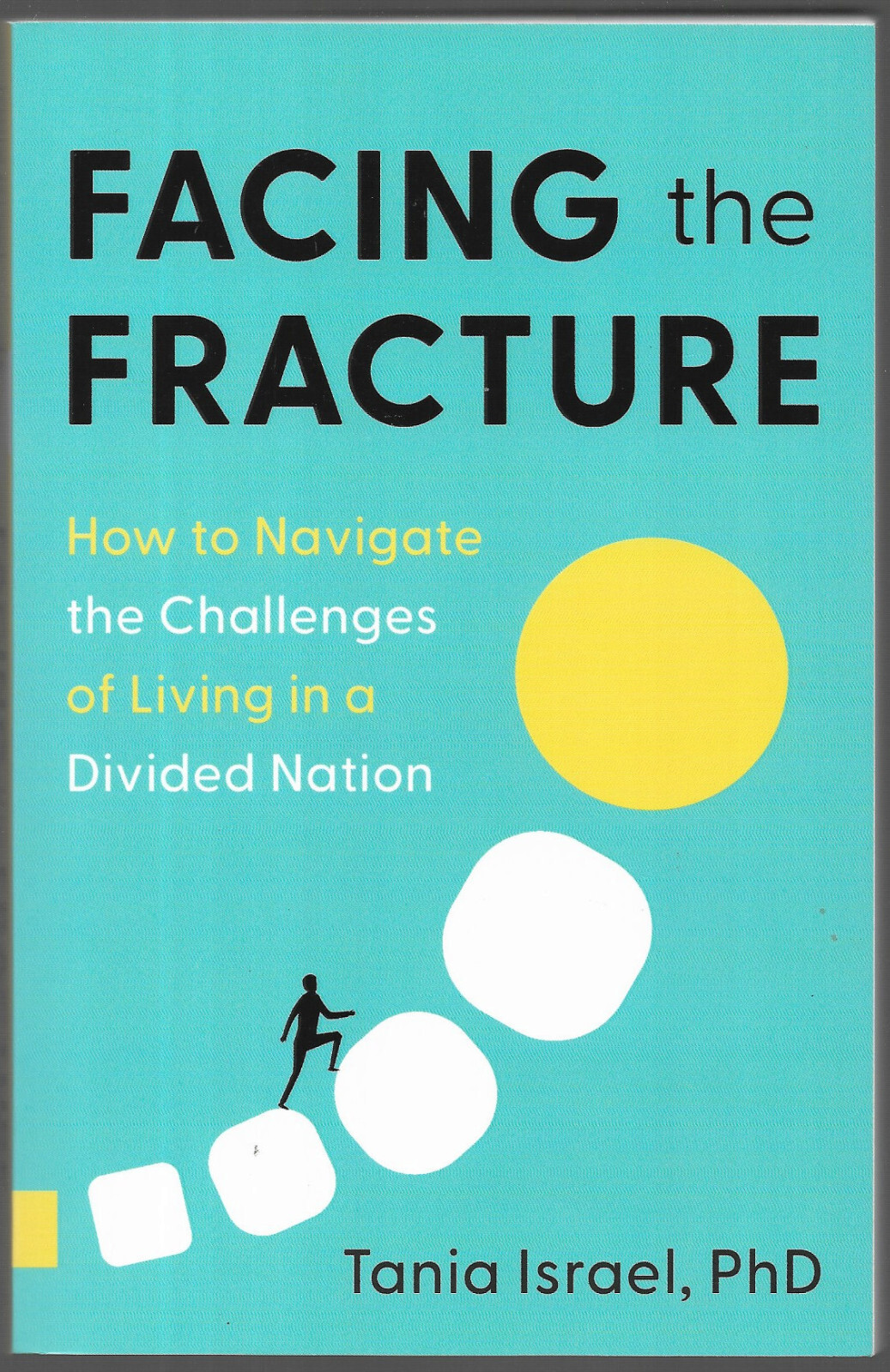 Facing The Fracture by Tania Israel Paperback 2024 Greenleaf Book Group Press