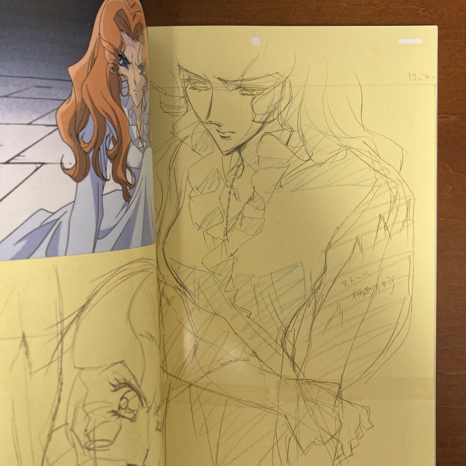 Revolutionary Girl Utena Art Book The hard core of UTENA Animation Side