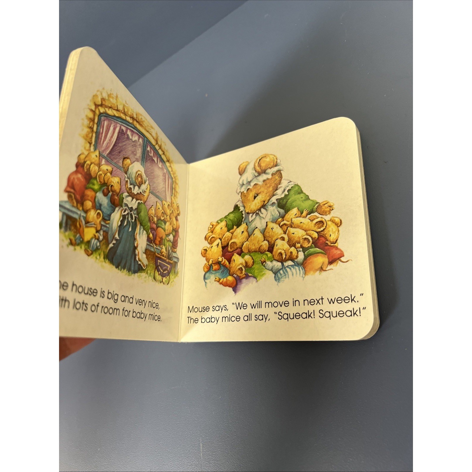 MOUSE’S HOUSE (BIG LITTLE FAT BOOKS) By Lorna Read & Roy Trower – Hardcover *VG*