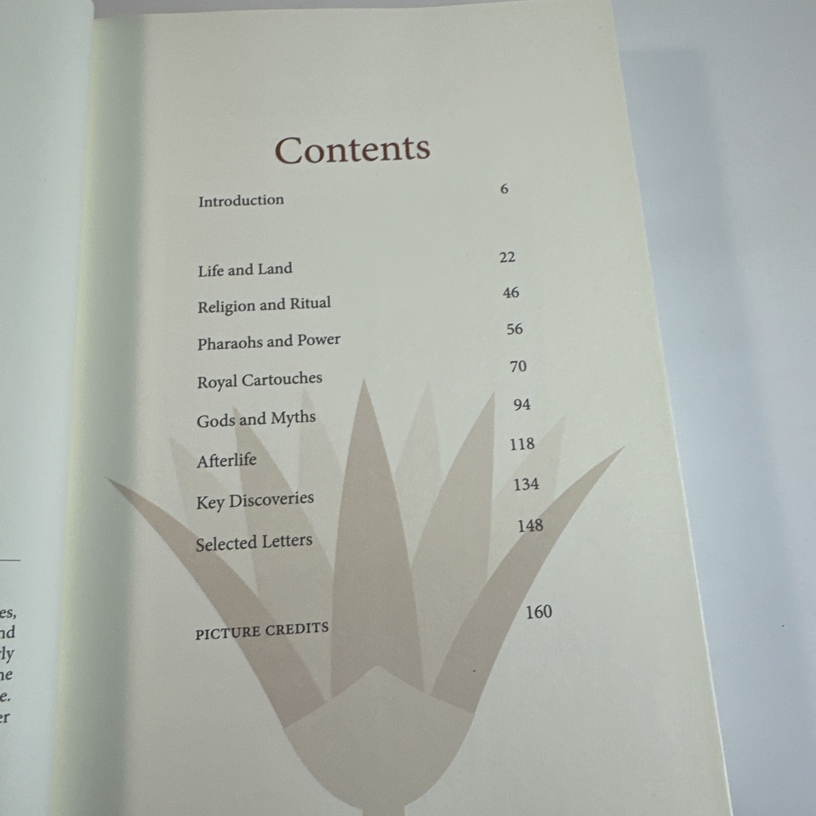 Ancient Egyptian Hieroglyphs Illustrated by Trevor Naylor 2025 Pr. Amber