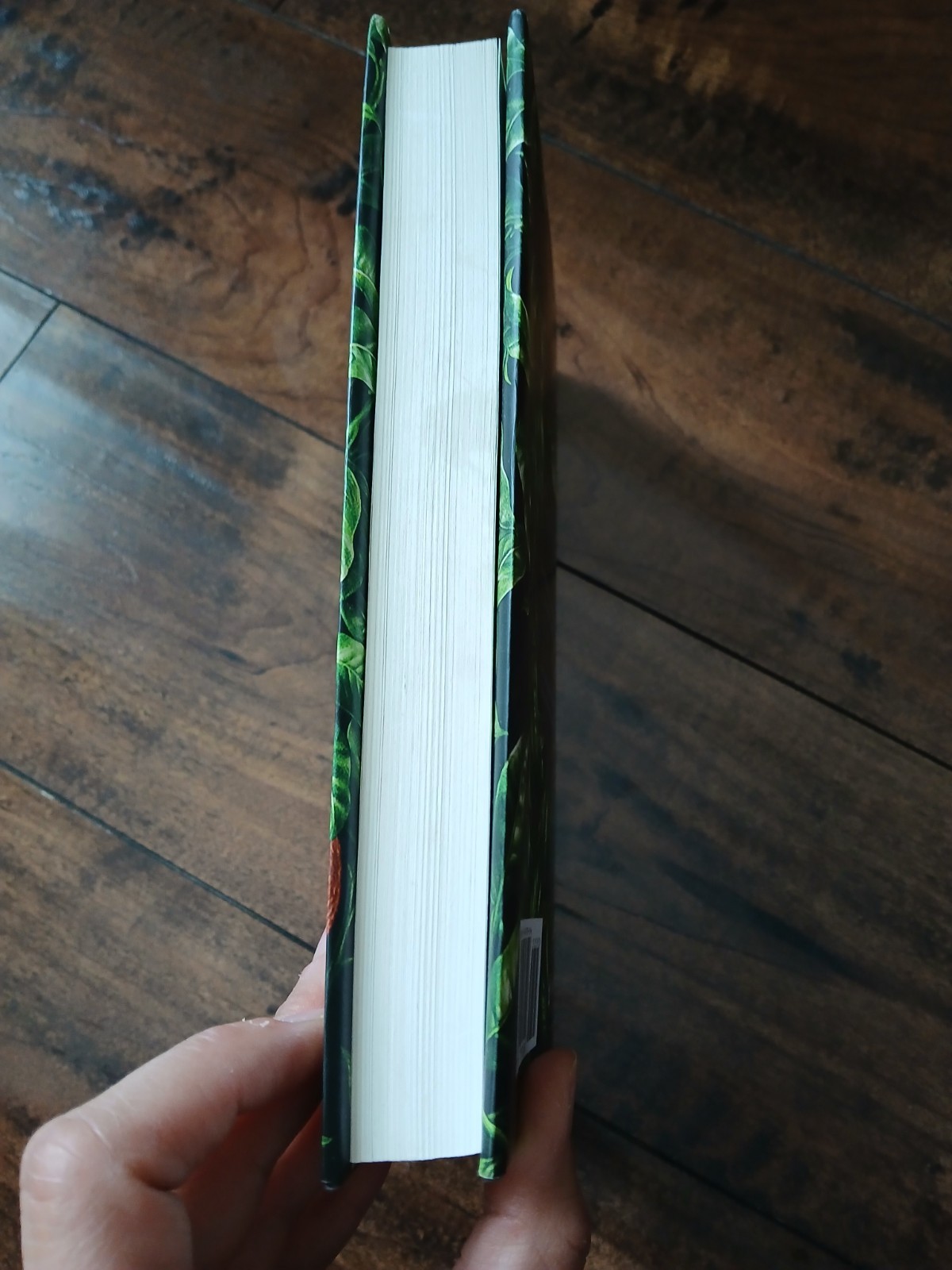 Claire Fuller Bitter Orange: A Novel Hardcover 2018 Zando w/ Dust Jacket