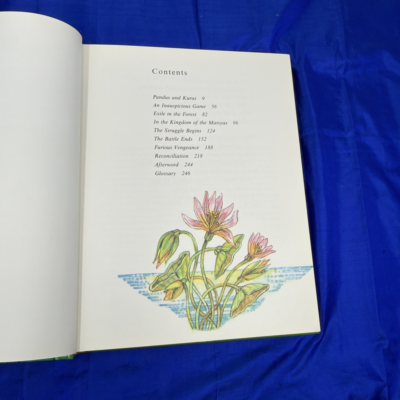 The Mahabharata Retold By Vladimir Miltner Illustrated By Jaromir Skrivanek HB