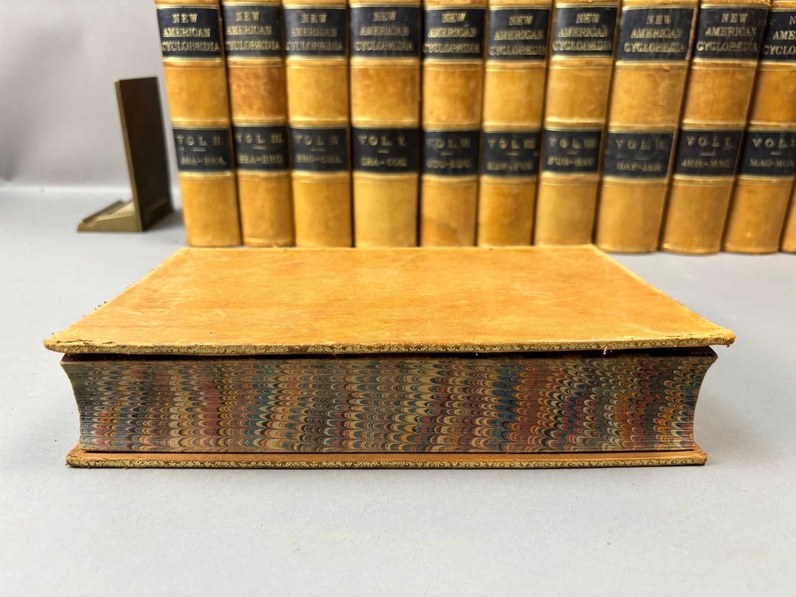 The New American Cyclopedia Compl 16 Vol Set D. Appleton & Co Early 1861 Leather
