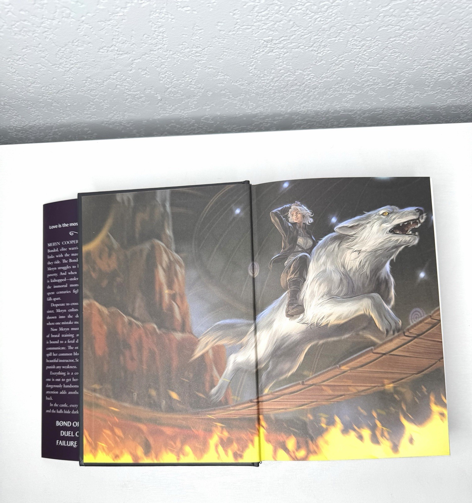 Dire Bound Deluxe Limited Edition by Sable Sorensen – Hardcover – Sprayed Edges