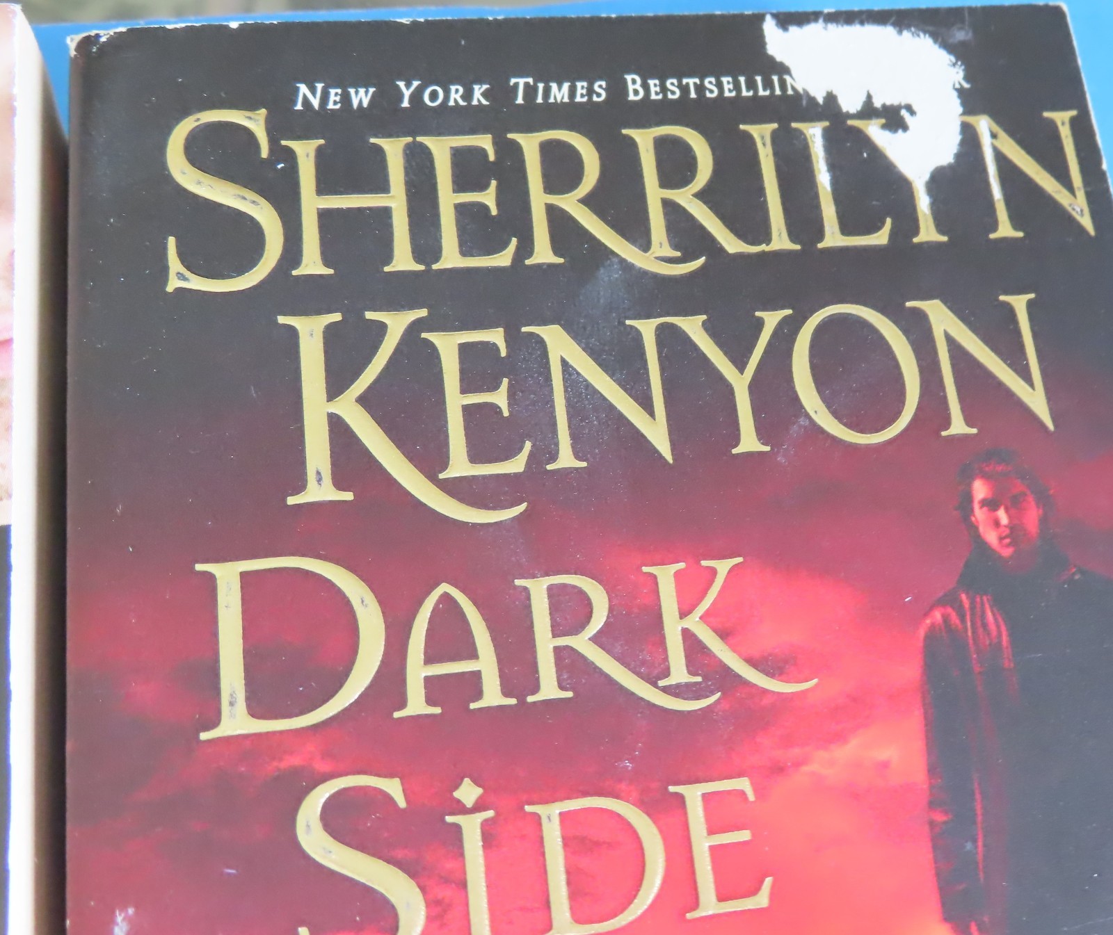 Sherrilyn Kenyon Dark Hunter League + Lot of 15 Mixed Titles