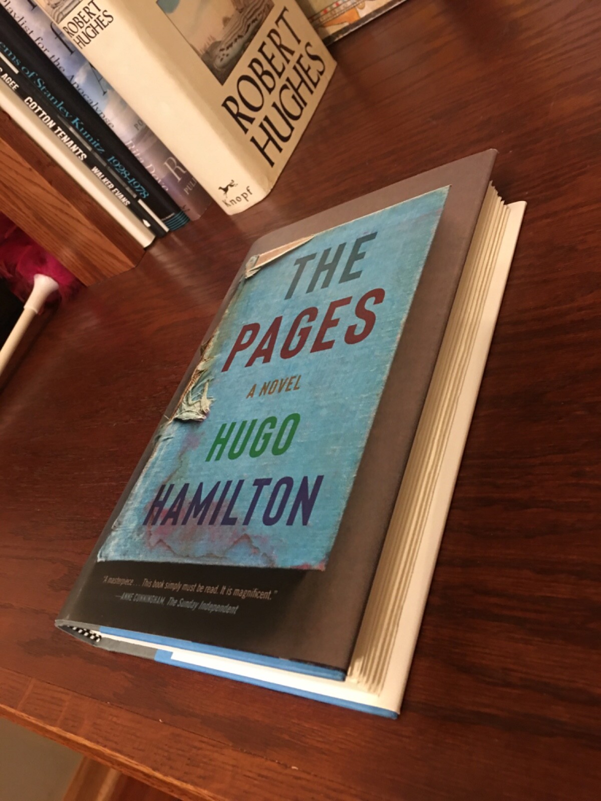 The Pages. Hugo Hamilton. 1st HC Ptg. Knopf 2022. Fine Unread