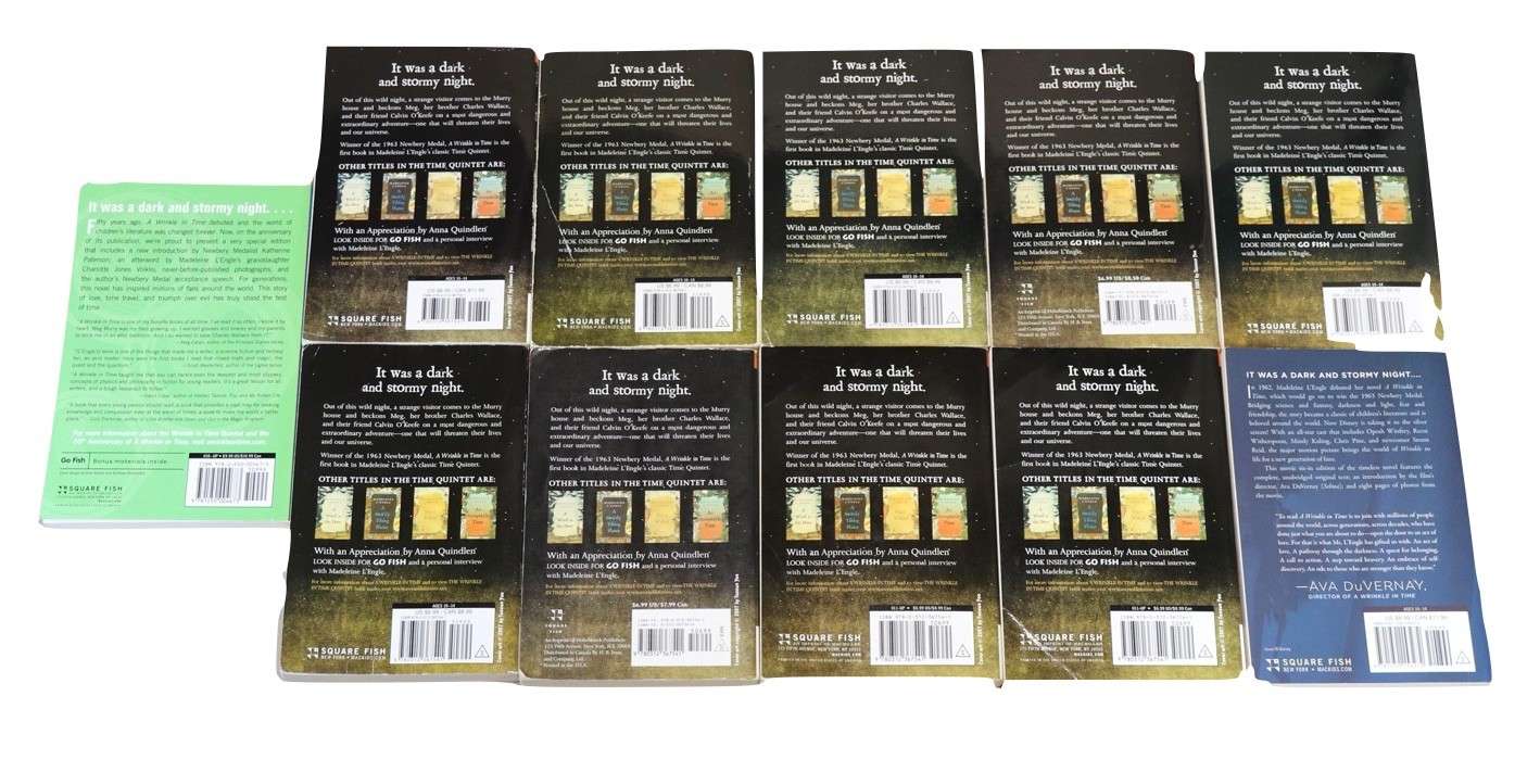 Lot of 11 A Wrinkle In Time by Madeleine L’Engle GUIDED READING Teachers Set