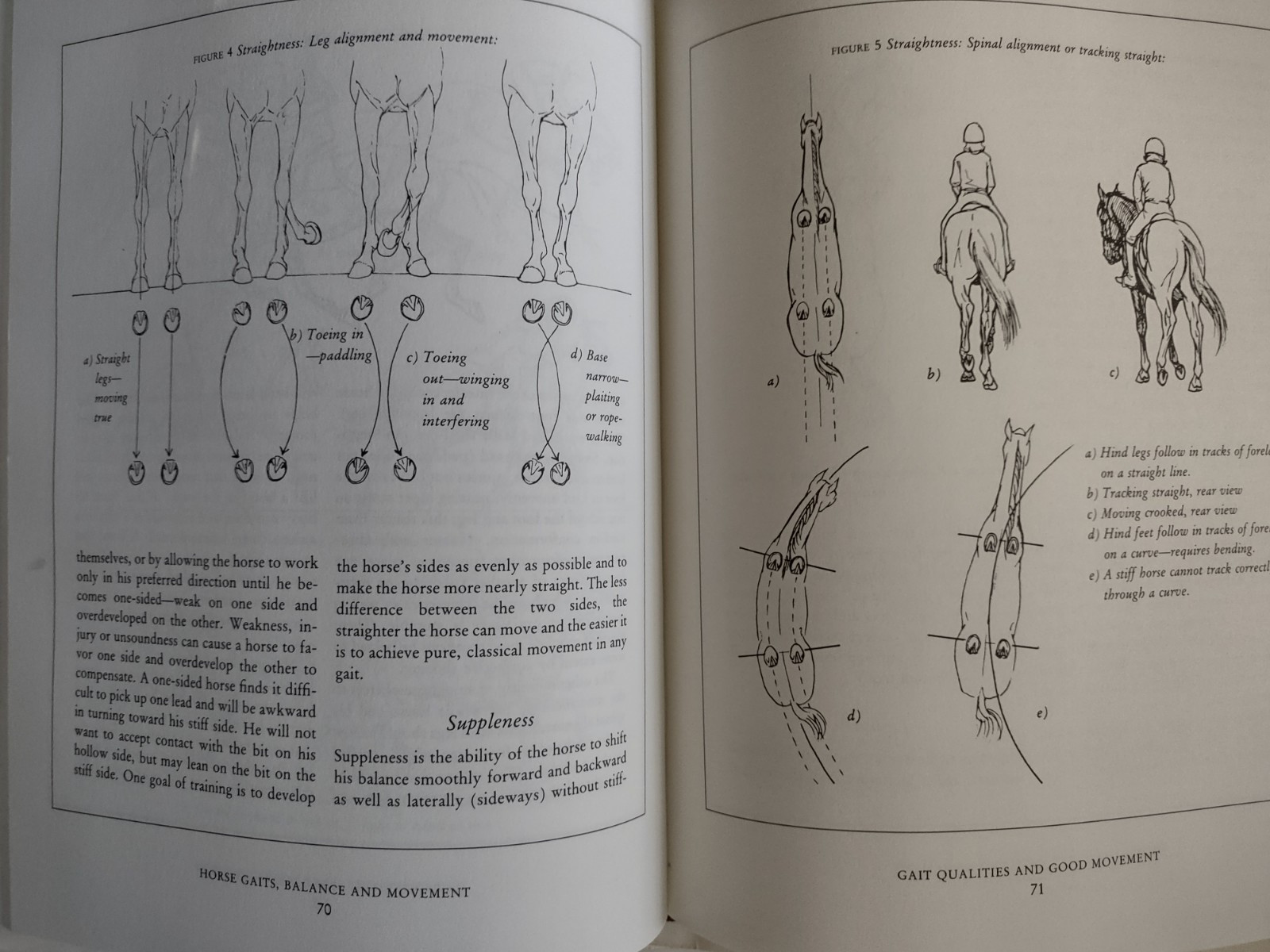 Horse Gaits, Balance and Movement Susan Harris 1993 Mechanics of Movement