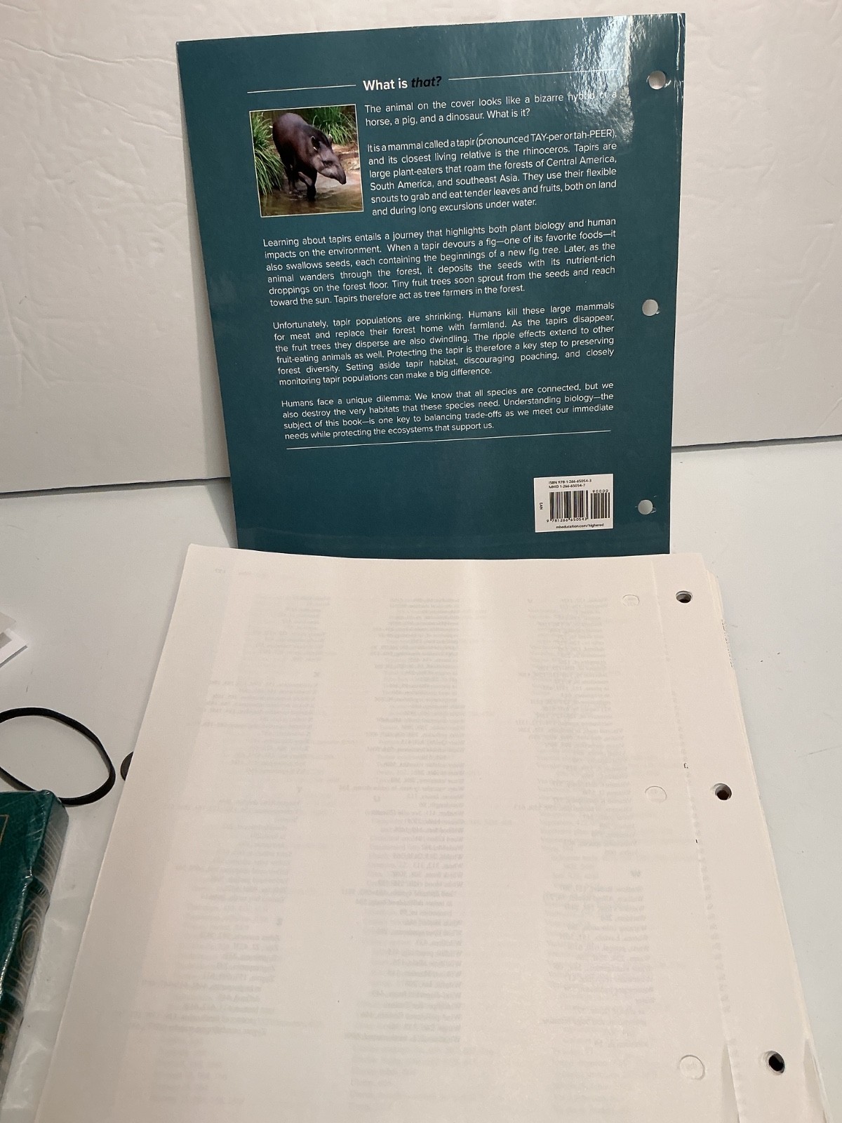 Biology: The Essentials 2025 Release by Marielle Hoefnagels (LOOSE-LEAF)