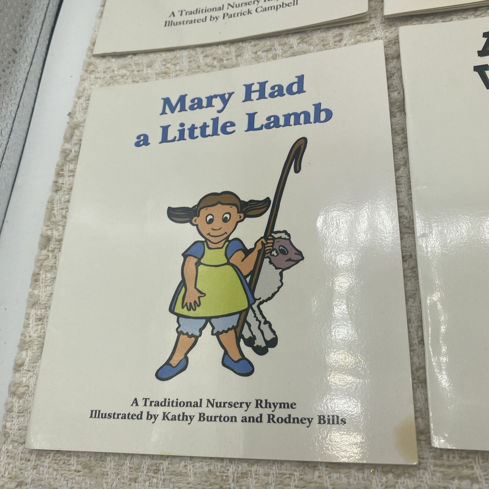 Collection of 6 Diverse Children’s Picture Books – Educational and Storytime Fun