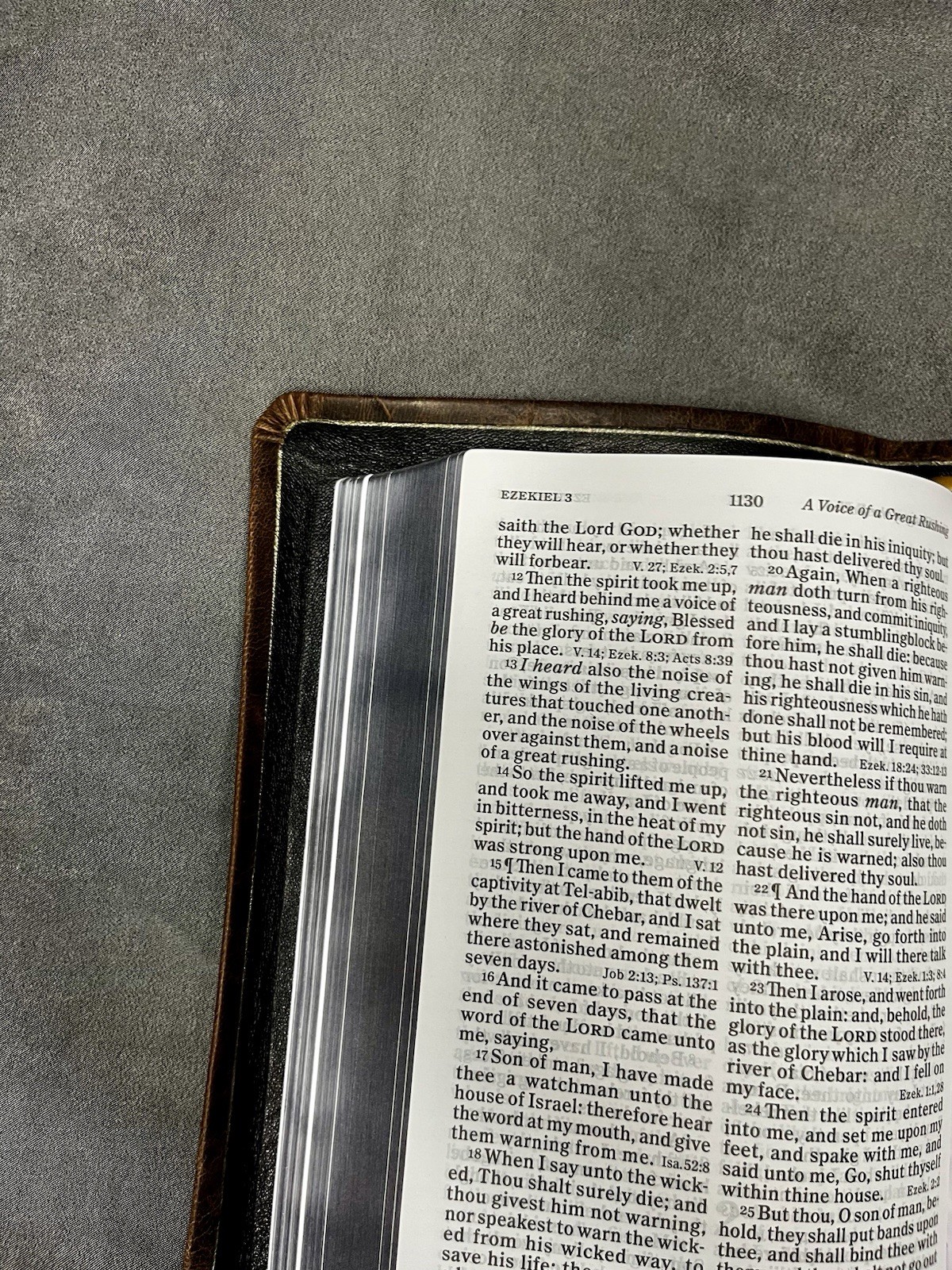 KJV Large Print Personal Size Reference Bible – Brown distressed goatskin